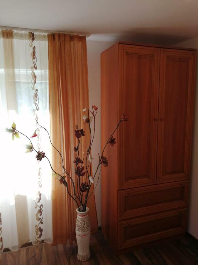 Pensiunea Bobu Hotel อิซโวรู มุนเตลุย ภายนอก รูปภาพ